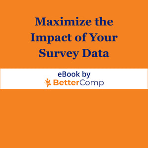 Maximizing the Impact of Your Survey data eBook promo image